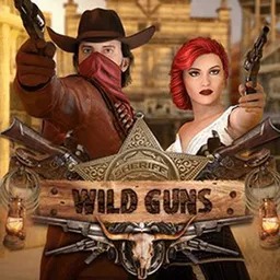 Wild-Guns